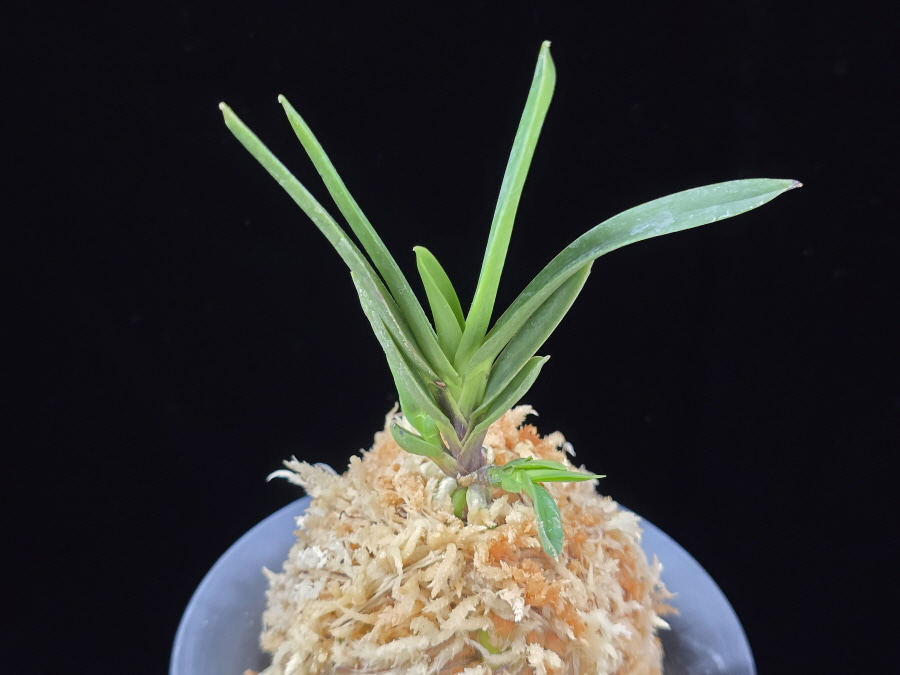 부산 浮山 Busan 부산 浮山 Busan