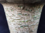 동천소 Raku pot 3"